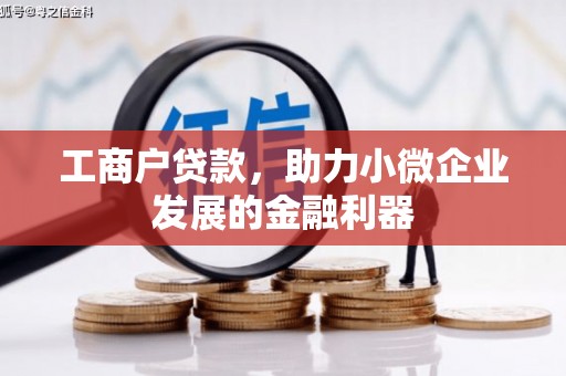 汉阳工商户贷款，助力小微企业发展的金融利器