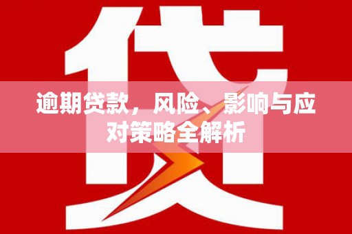 汉阳逾期贷款，风险、影响与应对策略全解析