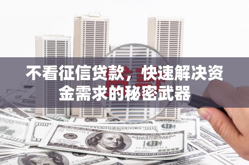 汉阳不看征信贷款，快速解决资金需求的秘密武器