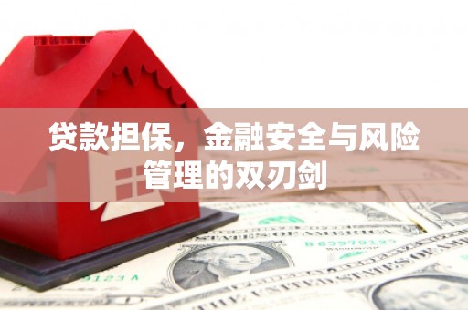 汉阳贷款担保，金融安全与风险管理的双刃剑