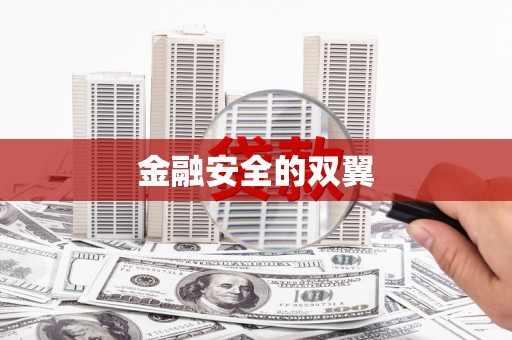 汉阳金融安全的双翼