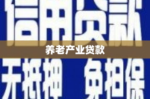 汉阳养老产业贷款