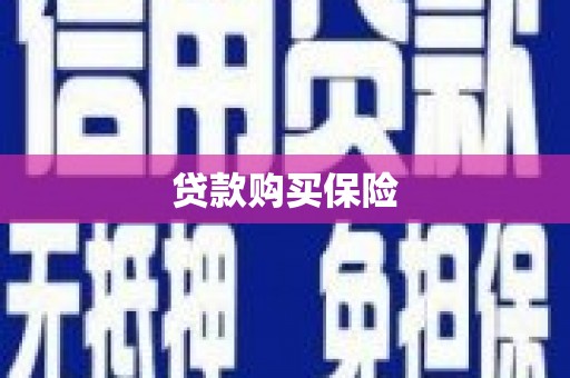 汉阳贷款购买保险