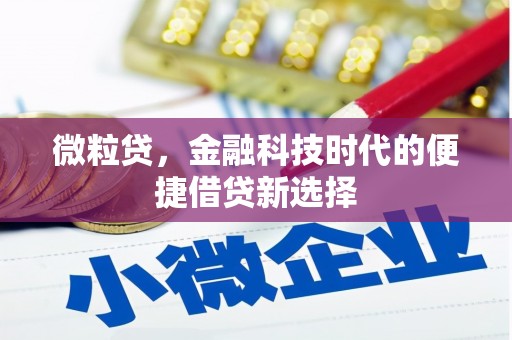 汉阳微粒贷，金融科技时代的便捷借贷新选择