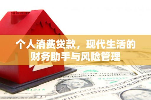 汉阳个人消费贷款，现代生活的财务助手与风险管理