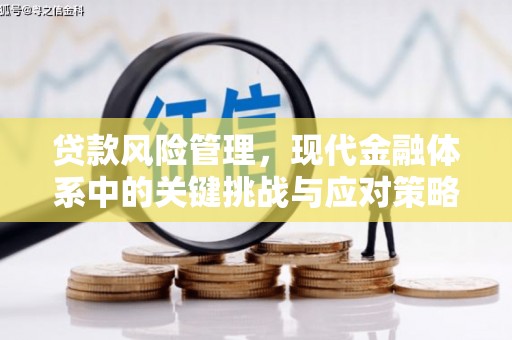 汉阳贷款风险管理，现代金融体系中的关键挑战与应对策略