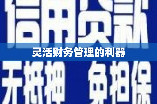 汉阳灵活财务管理的利器