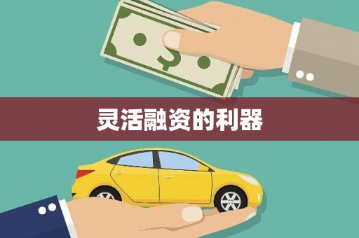 汉阳灵活融资的利器