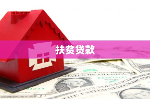 汉阳扶贫贷款