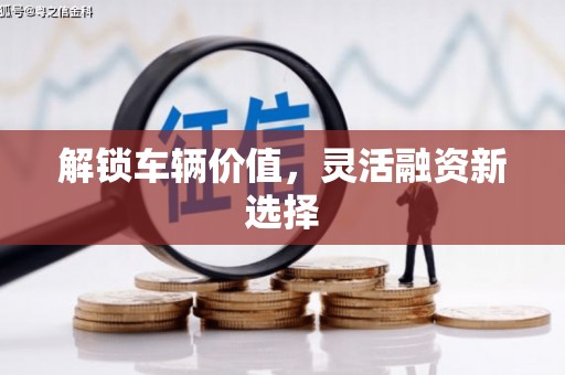 汉阳解锁车辆价值，灵活融资新选择