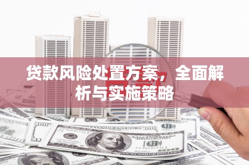 汉阳贷款风险处置方案，全面解析与实施策略
