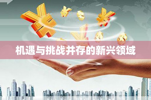 汉阳机遇与挑战并存的新兴领域