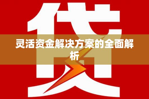 汉阳灵活资金解决方案的全面解析