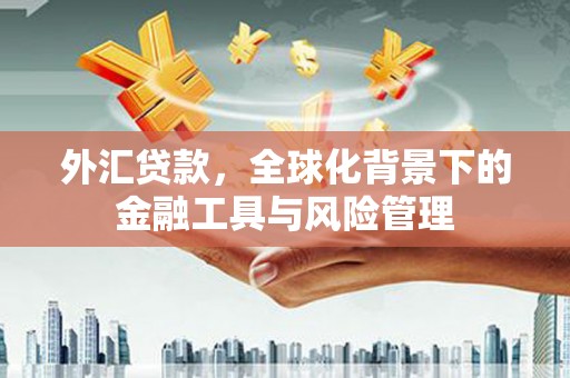 汉阳外汇贷款，全球化背景下的金融工具与风险管理